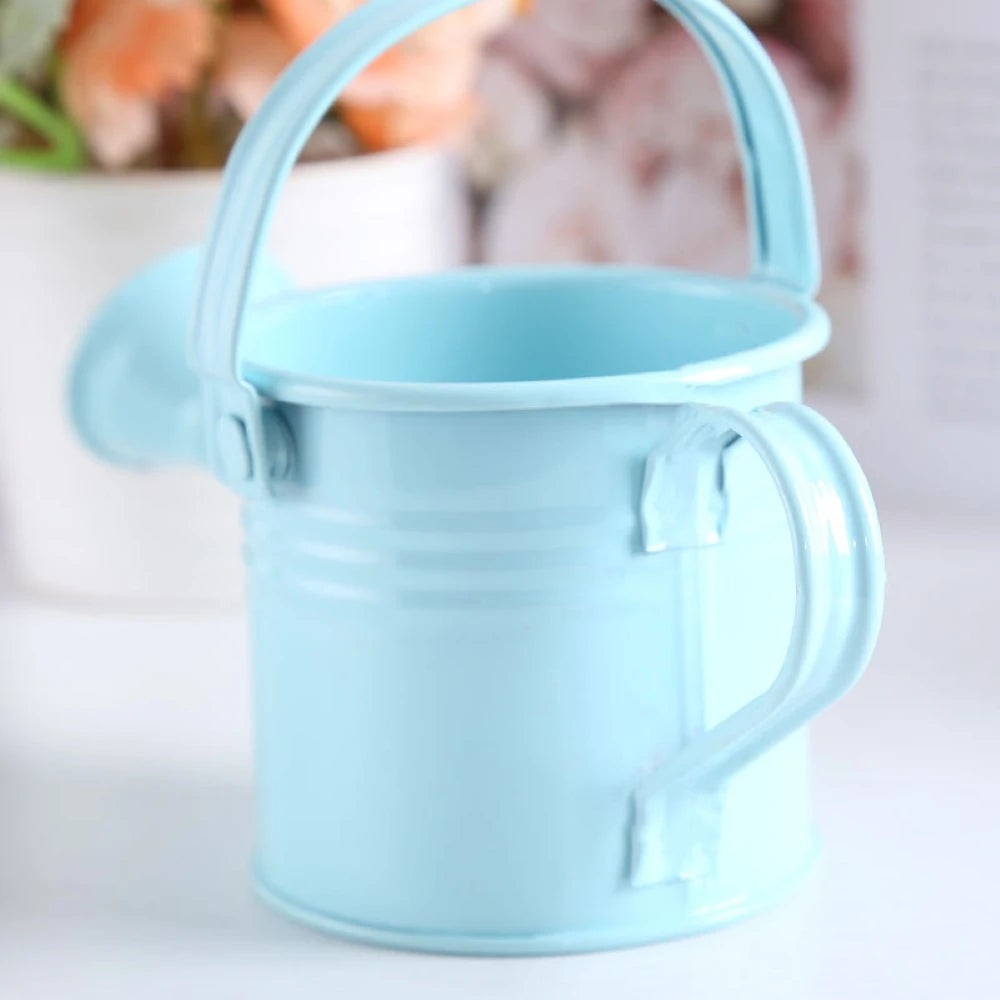 1Pcs Metal Watering Can Garden Flower Kettle Mini Small Water Spraying Pot Sprinkle with Large Capacity For Kids Adult