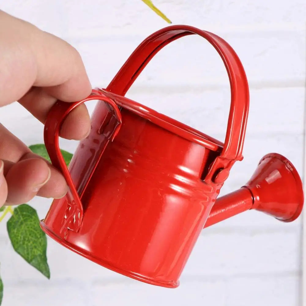 1Pcs Metal Watering Can Garden Flower Kettle Mini Small Water Spraying Pot Sprinkle with Large Capacity For Kids Adult