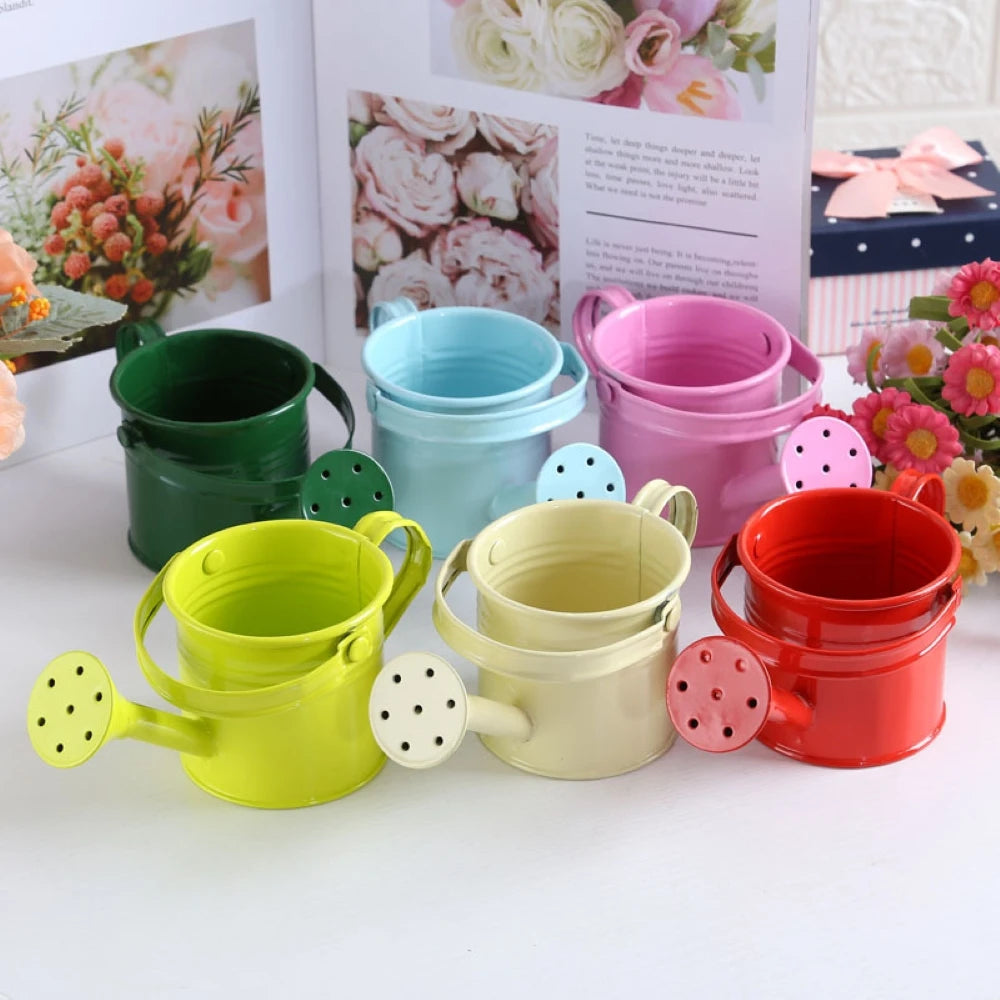 1Pcs Metal Watering Can Garden Flower Kettle Mini Small Water Spraying Pot Sprinkle with Large Capacity For Kids Adult