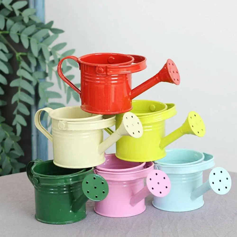 1Pcs Metal Watering Can Garden Flower Kettle Mini Small Water Spraying Pot Sprinkle with Large Capacity For Kids Adult